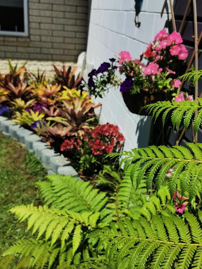 Kerikeri Sunny Modern 2 Bedroom Apartments מראה חיצוני תמונה
