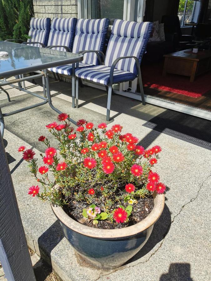 Kerikeri Sunny Modern 2 Bedroom Apartments מראה חיצוני תמונה